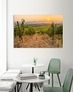 Obraz na stenu Vinice